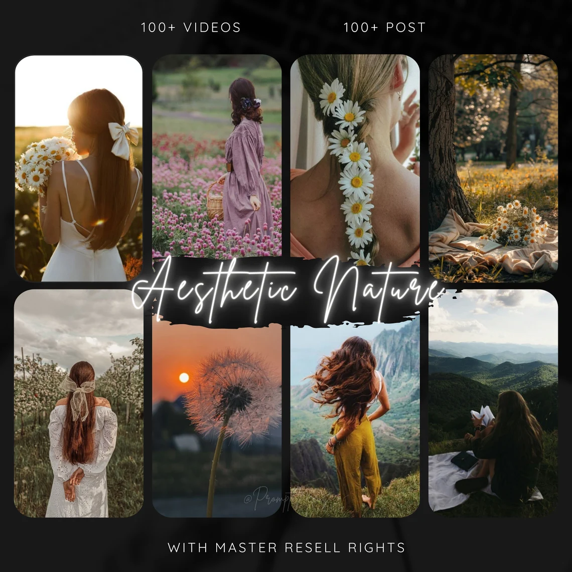 6,000+ Faceless Aesthetic Videos with MRR for Instagram - Image 3
