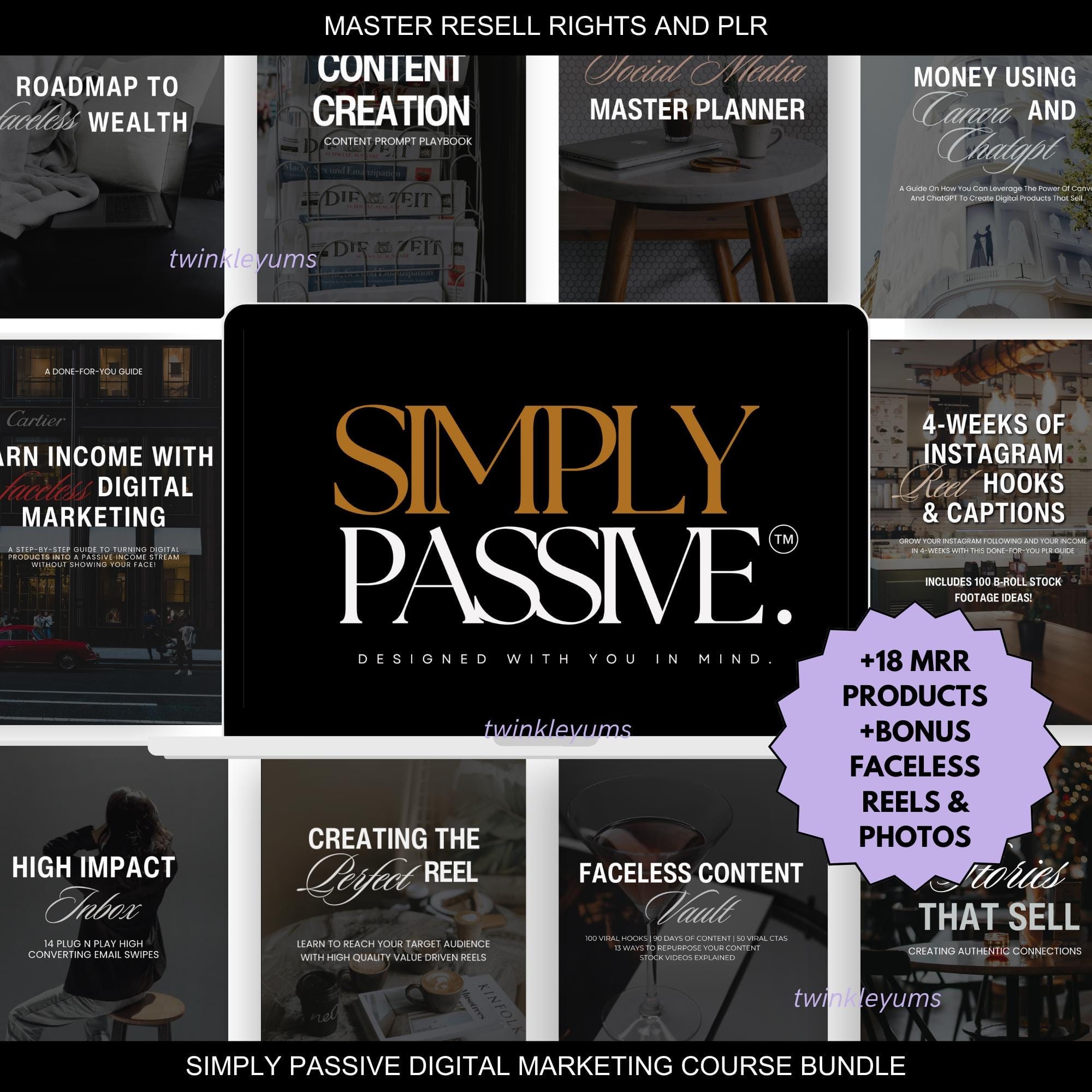 Simply Passive Digital Marketing Course with MRR and PLR Resources