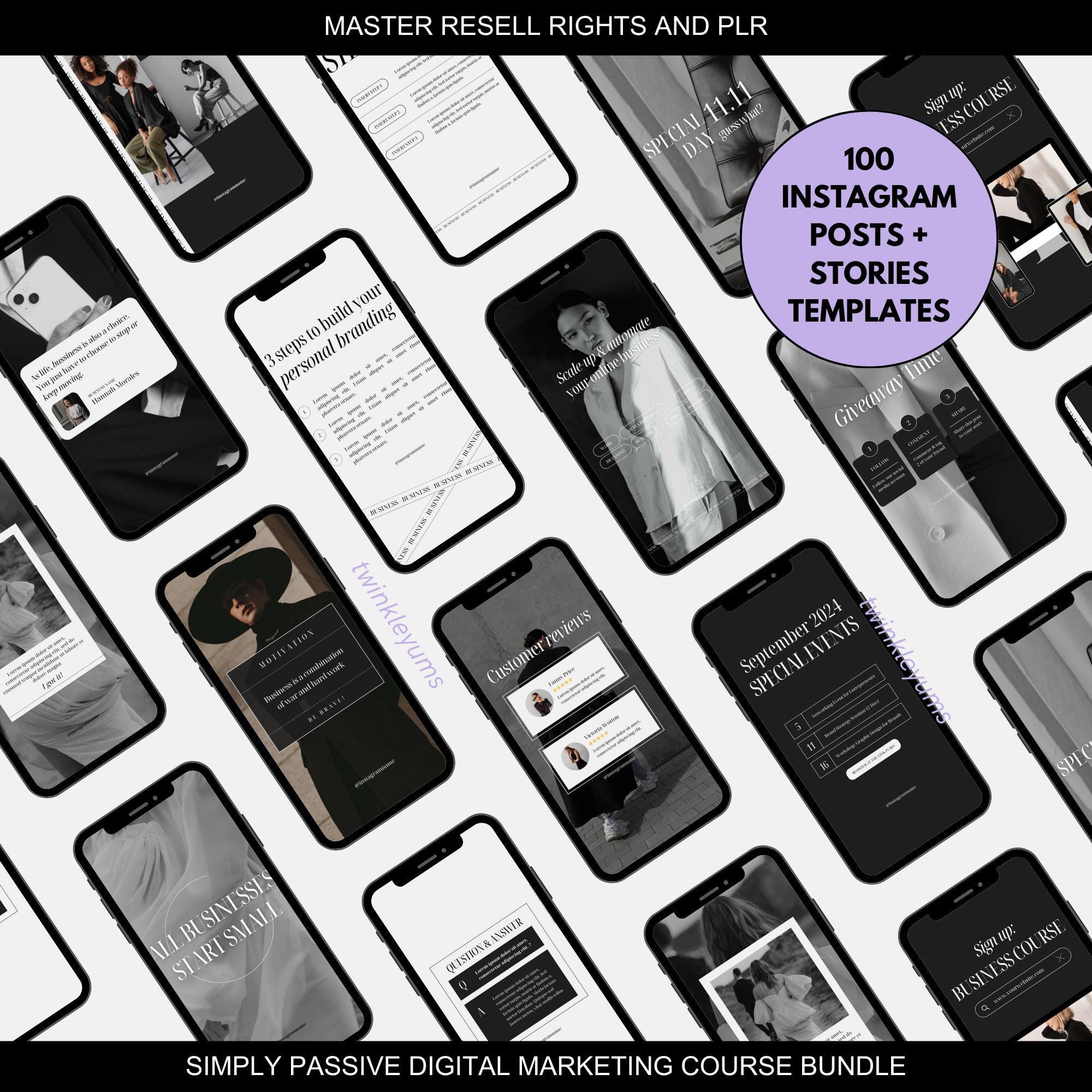 Simply Passive Digital Marketing Course with Master Resell Rights - Image 6