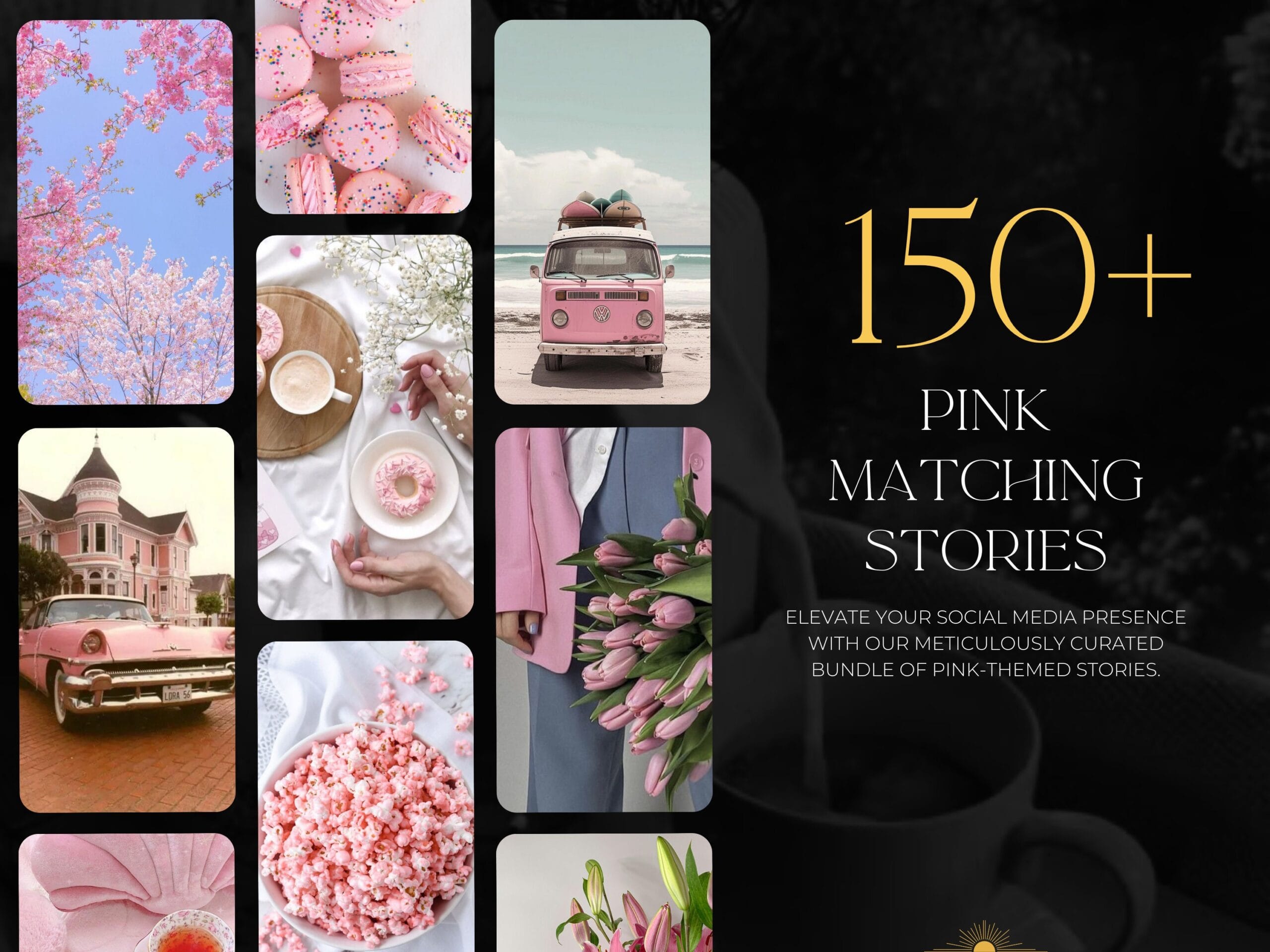 Pink coquette aesthetic faceless Instagram reels and matching posts with Canva templates, MRR, and PLR for digital marketing.